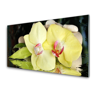 Konyhai hátfal panel Orchidea virág szirmai