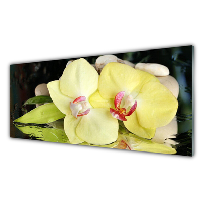Konyhai hátfal panel Orchidea virág szirmai