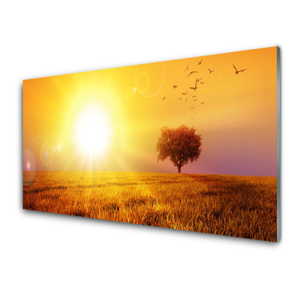Konyhai panel Sunset meadow madarak