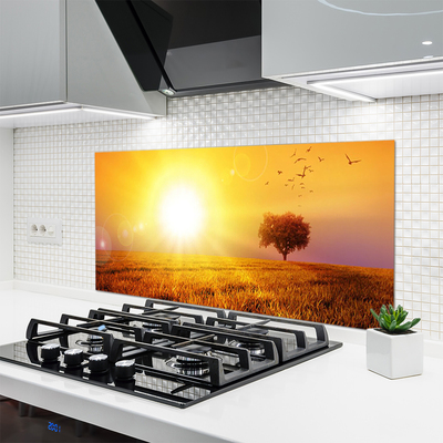 Konyhai panel Sunset meadow madarak