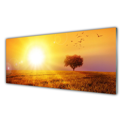 Konyhai panel Sunset meadow madarak