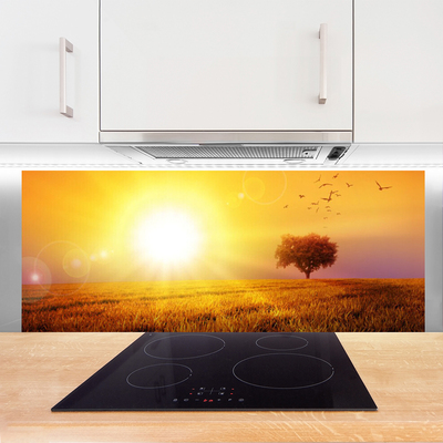 Konyhai panel Sunset meadow madarak