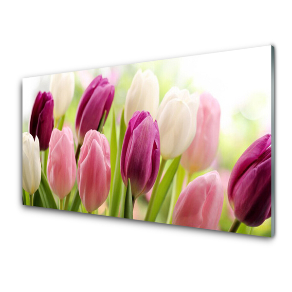Konyhai üveg fali panel Tulipán virágok természet meadow