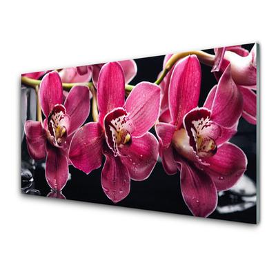 Konyhai panel Orchidea virág nature rügyek