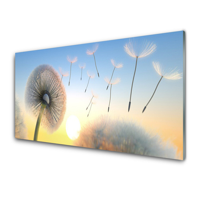 Konyhai fali panel Dandelion flower plant