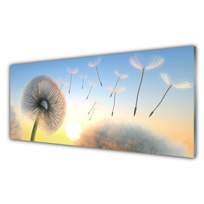 Konyhai fali panel Dandelion flower plant