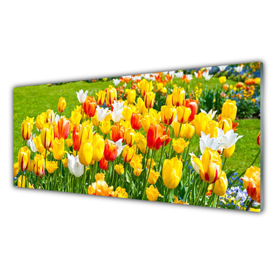 Konyhai üveg panel Tulipán virágok természet