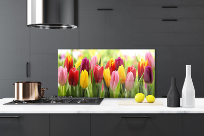 Konyhai falvédő panel Tulipán virágok természet