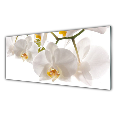 Konyhai üveg panel Orchidea virágok természet