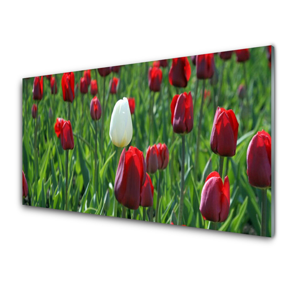 Konyhai falvédő panel Tulipán virágok természet