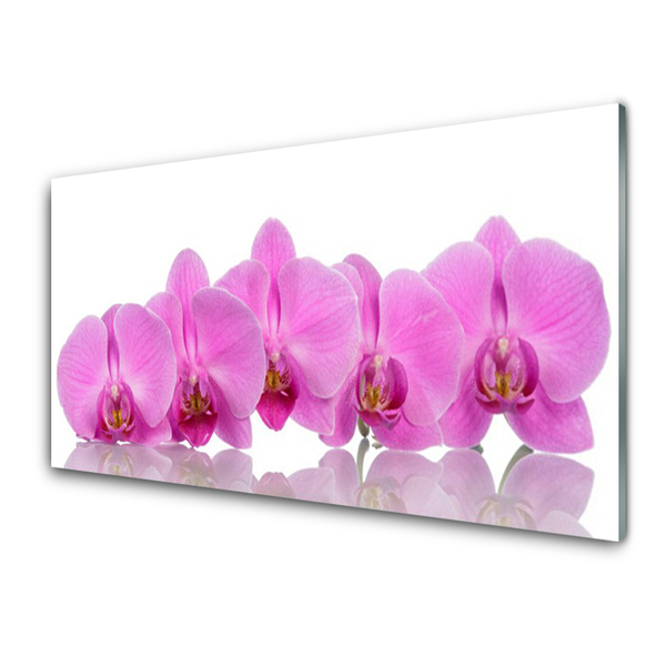 Konyhai hátfal panel Rózsaszín orchidea virágok