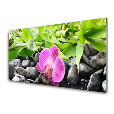 Konyhai falburkoló panel Orchidea virágok plant