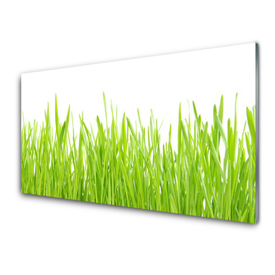 Konyhai dekor panel Grass nature plant