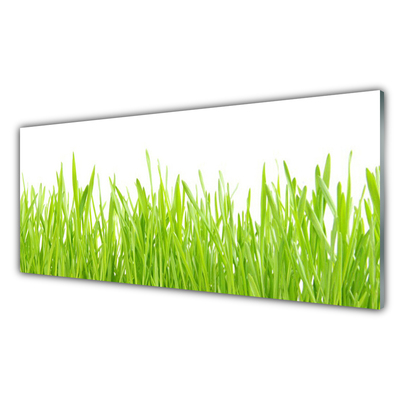 Konyhai dekor panel Grass nature plant