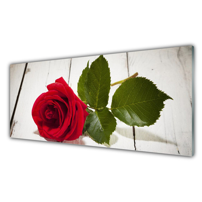 Konyhai panel Rózsa virág növény természet