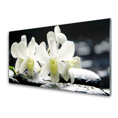 Konyhai üveg panel Stones orchidea virágok