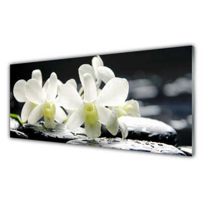 Konyhai üveg panel Stones orchidea virágok