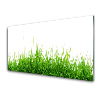 Konyhai panel Grass nature plant