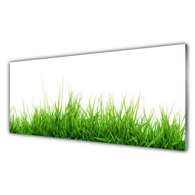 Konyhai panel Grass nature plant