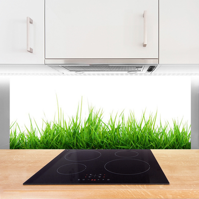 Konyhai panel Grass nature plant