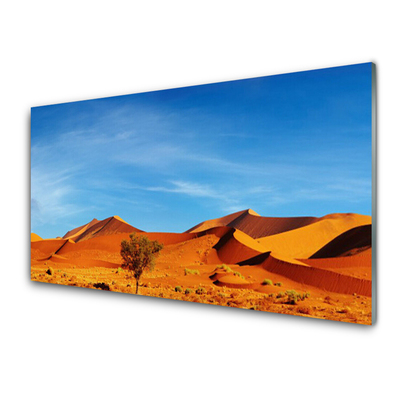Konyhai hátfal panel Fekvő sivatagi homok