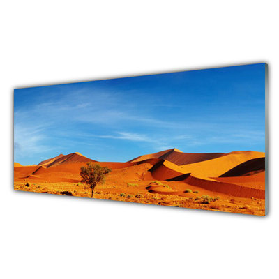 Konyhai hátfal panel Fekvő sivatagi homok