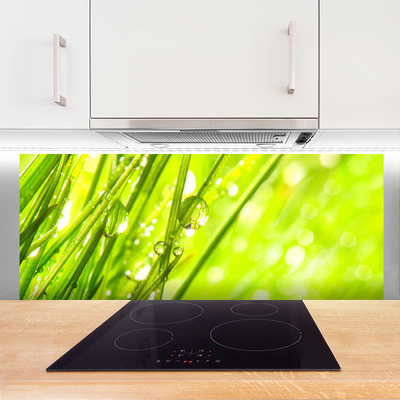 Konyhai fali panel Nature csepp fű