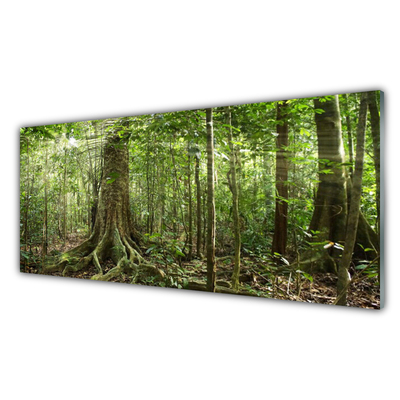 Konyhai fali panel Nature jungle erdei fák