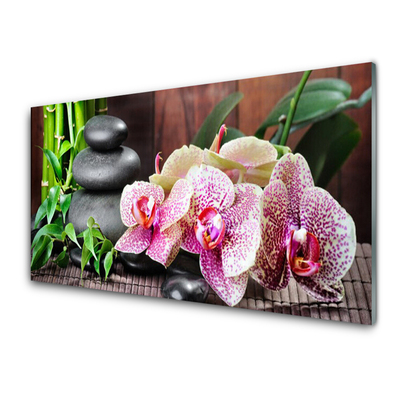 Konyhai hátfal panel Bamboo orchid spa