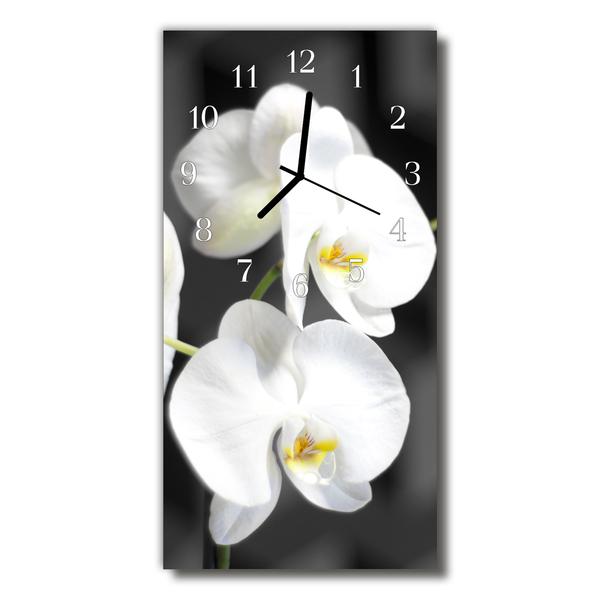 Téglalap alakú üvegóra Fehér orchidea virágok
