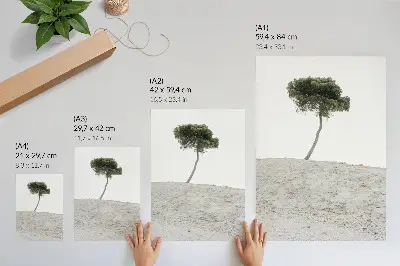 Poszter nyomtatás minimalista magányos fa világos háttér előtt