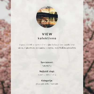 Retro plakát rózsaszín fák fekete lámpás nosztalgikus hangulatú mintával