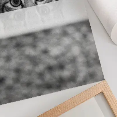 Poszter fekete-fehér minimalista macska a felszín mögött mintával