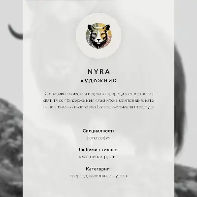 Poszter nyomtatás elefánt közeli természetes szépség és textúrák harmóniája