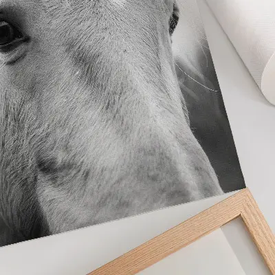 Poszter nyomtatás fekete-fehér elegáns lószem mintával