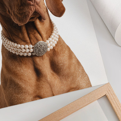 Poszter Elegáns kutyanyaklánc luxus kivitelben