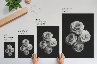 Retro plakát fekete-fehér rózsák minimalista klasszikus eleganciával