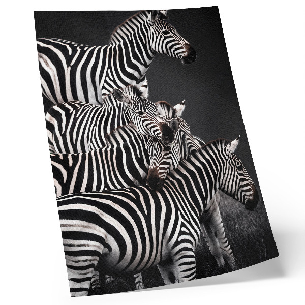 Poszter nyomtatás Zebra kontrasztos fekete-fehér függőleges vonalakkal