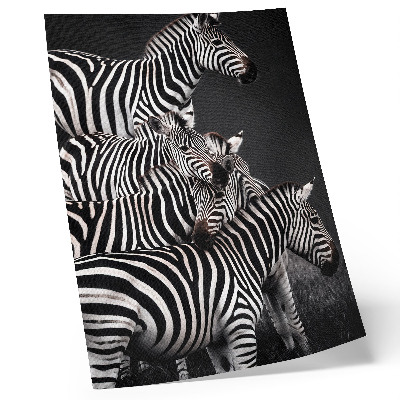 Poszter nyomtatás Zebra kontrasztos fekete-fehér függőleges vonalakkal