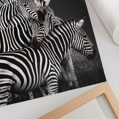 Poszter nyomtatás Zebra kontrasztos fekete-fehér függőleges vonalakkal
