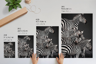 Poszter nyomtatás Zebra kontrasztos fekete-fehér függőleges vonalakkal