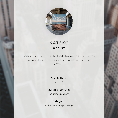 Poszter nyomtatás Daruk a dinamikus naplemente hátterében