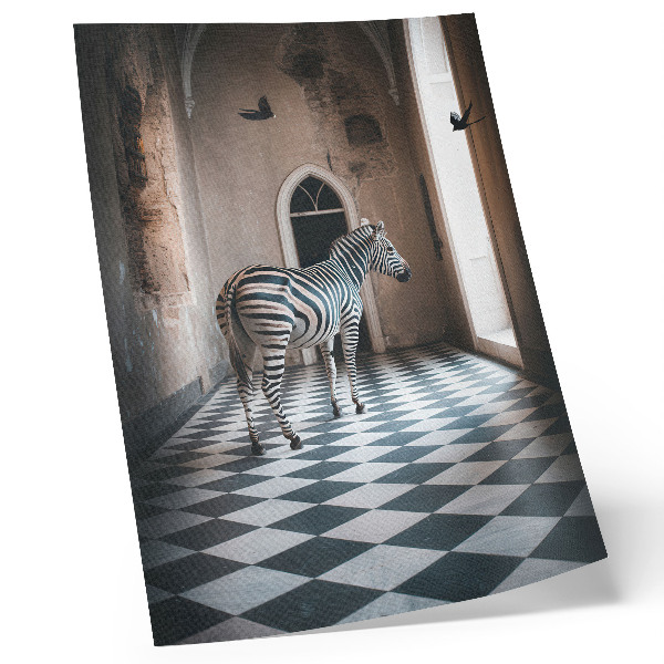 Retro plakát Zebra a madarak repülése közben, építészet hátterében