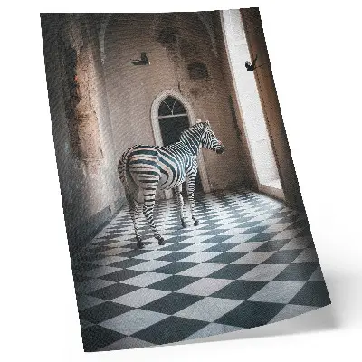 Retro plakát zebra és repülő madarak építészeti háttérrel