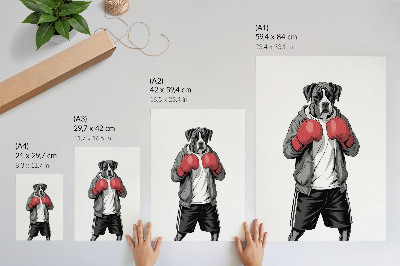 Poszter nyomtatás Boxer kutya boxkesztyű sportos stílusban