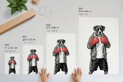 Poszter nyomtatás boxer kutya boxkesztyűs sportos stílusban