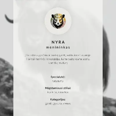 Poszter nyomtatás színes fácántollak béke témával
