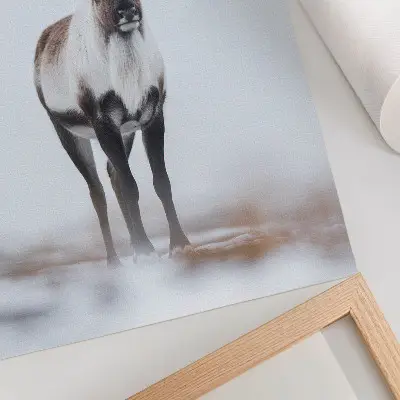 Poszter nyomtatás rénszarvas téli tájban, meleg árnyalatokkal, modern stílusban