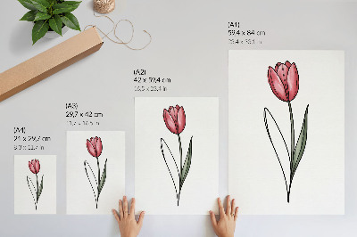 Poszter Rózsaszín tulipán egyszerű kontúr könnyedség