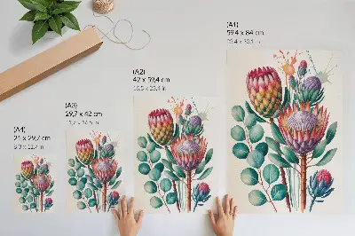Poszter egzotikus protea virágok zöld levelekkel